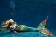 sirena