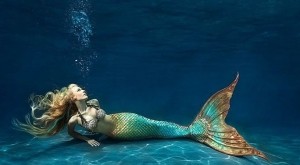 sirena