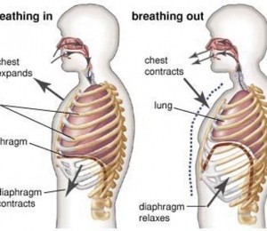 exercitii de respiratie