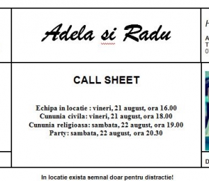 Ivona Nenu feminis.ro