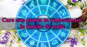 planta vindecatoare