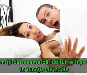 insala