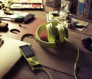 Walkman SONY, 1299 lei