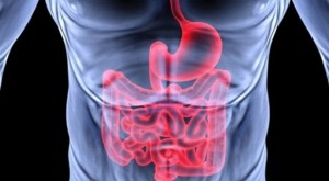 detoxifiere aparat digestiv