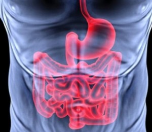 detoxifiere aparat digestiv