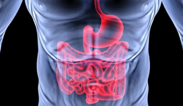 detoxifiere aparat digestiv