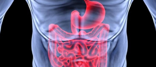 detoxifiere aparat digestiv