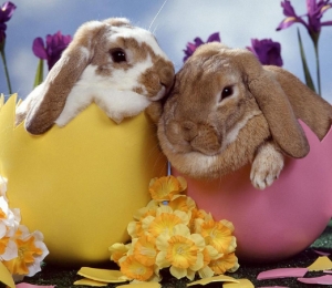 iepurasul de Paste