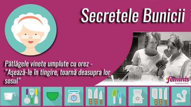 secretele bunicii