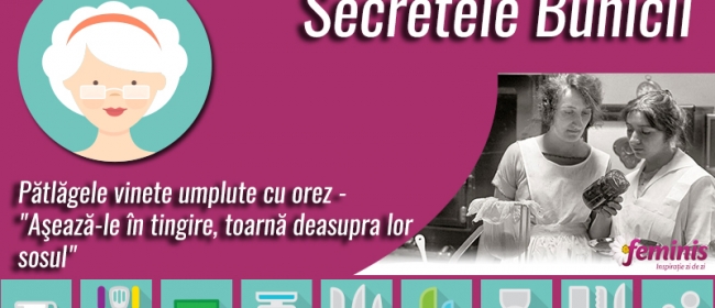 secretele bunicii