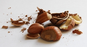 La ce sunt bune alunele de padure