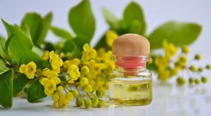 Uleiuri de faţă - Cele mai bune uleiuri pentru ten şi cum să le foloseşti