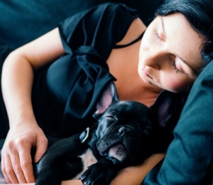 cainele doarme cu tine in pat