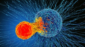 cancer celule canceroase