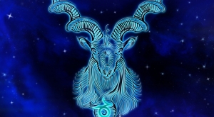 capricorn