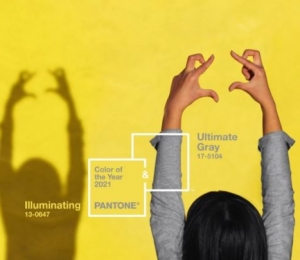 culorile anului 2021