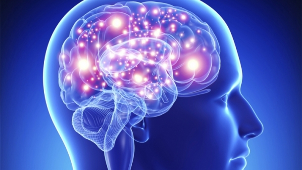 creier sanatos