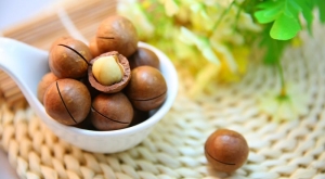 nuci macadamia