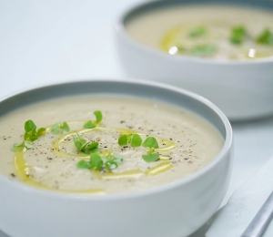 supa crema de conopida