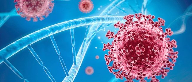 coronavirus