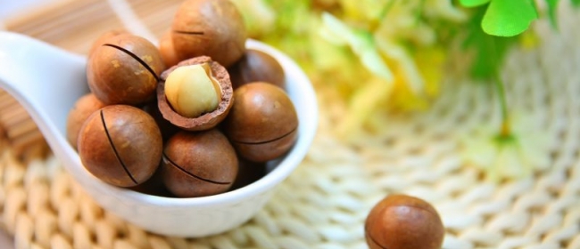 nuci macadamia