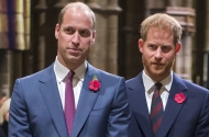 harry si william