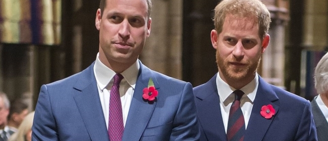 harry si william