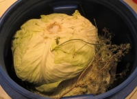 cum pui varza la murat