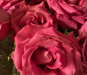 surpriza simona halep