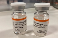 Sotrovimab