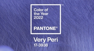 culoarea anului 2022