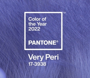 culoarea anului 2022