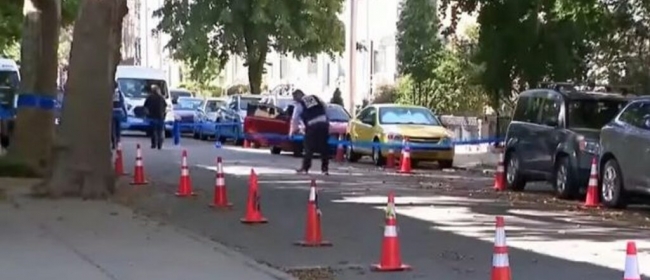 Law & Order: Organized Crime