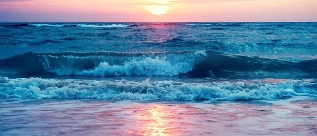 mare