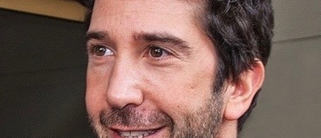 David Schwimmer