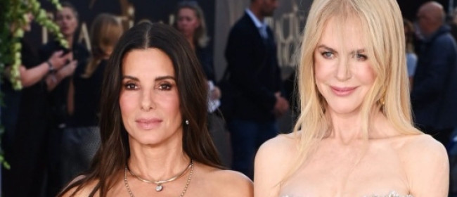 bullock